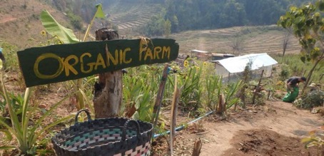 Woofing Thailande : Récit de mon expérience en Thailande
