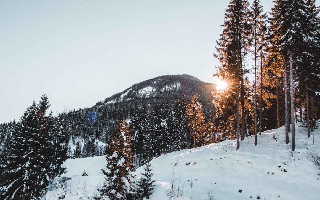 Wyoming : Visitez Jackson Hole au prochain hiver !