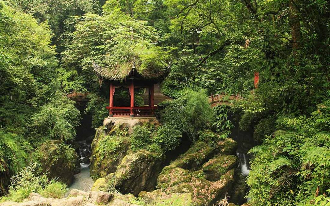Mont Emei : Le Sichuan et Ton Sac est Si Lourd