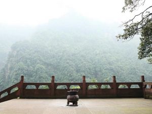 mont-emei-yunnan