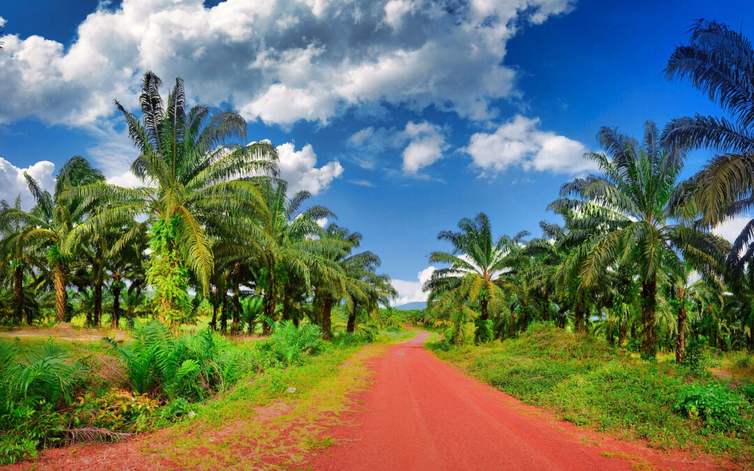 La rando au Cambodge, pour les hédonistes